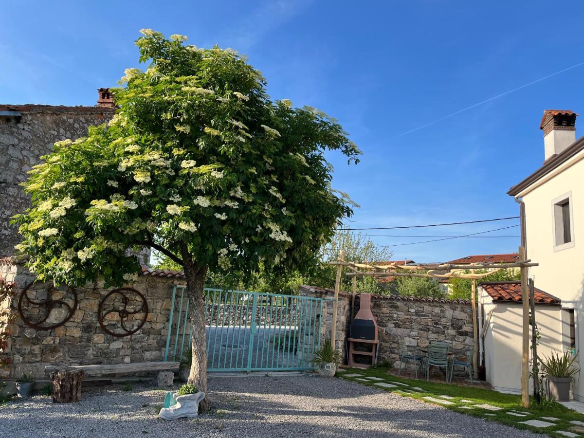 Apartma Ob Stari Murvi, Sežana Eksteriør bilde